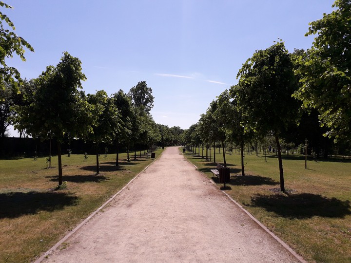 Path