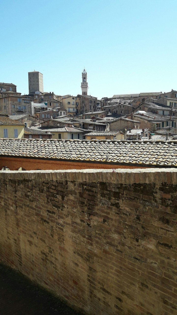 siena