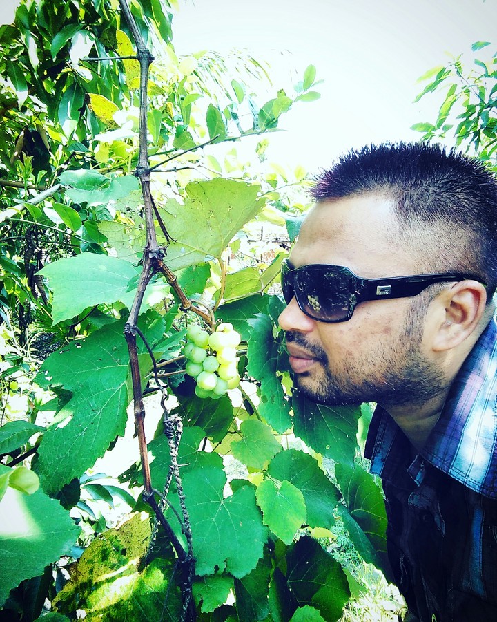 আঙুৰ টেঙা ☺