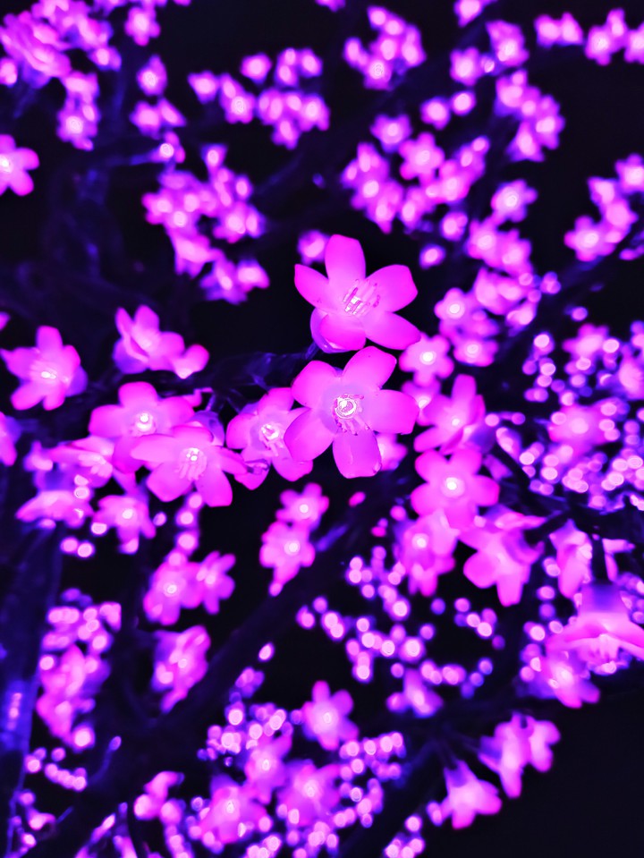 flowers...