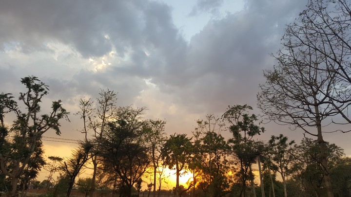 nature