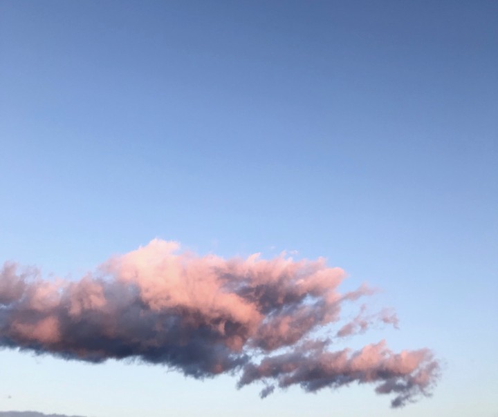 Cotton candy cloud