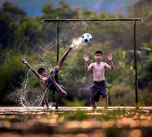 They get wet in the rain and rejoice.