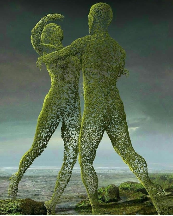 sex