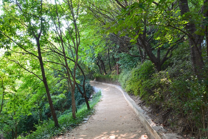 풍경이미지