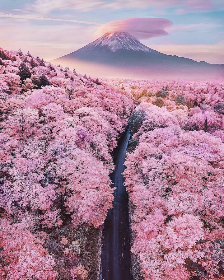 Fuji, Shizuoka