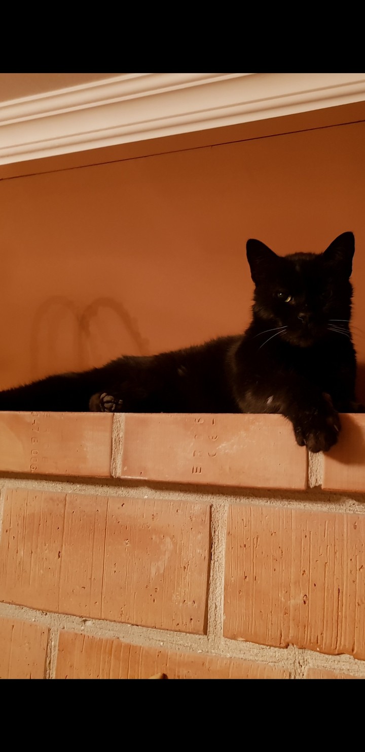 petya