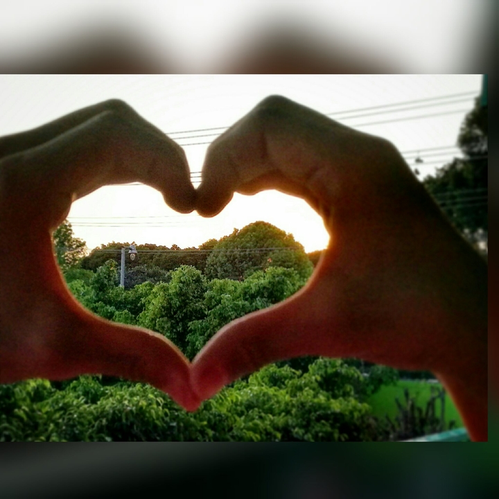 Amor a la naturaleza