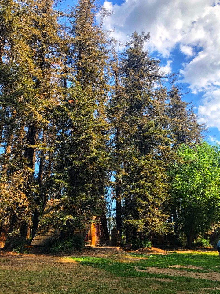 Casa en el bosque