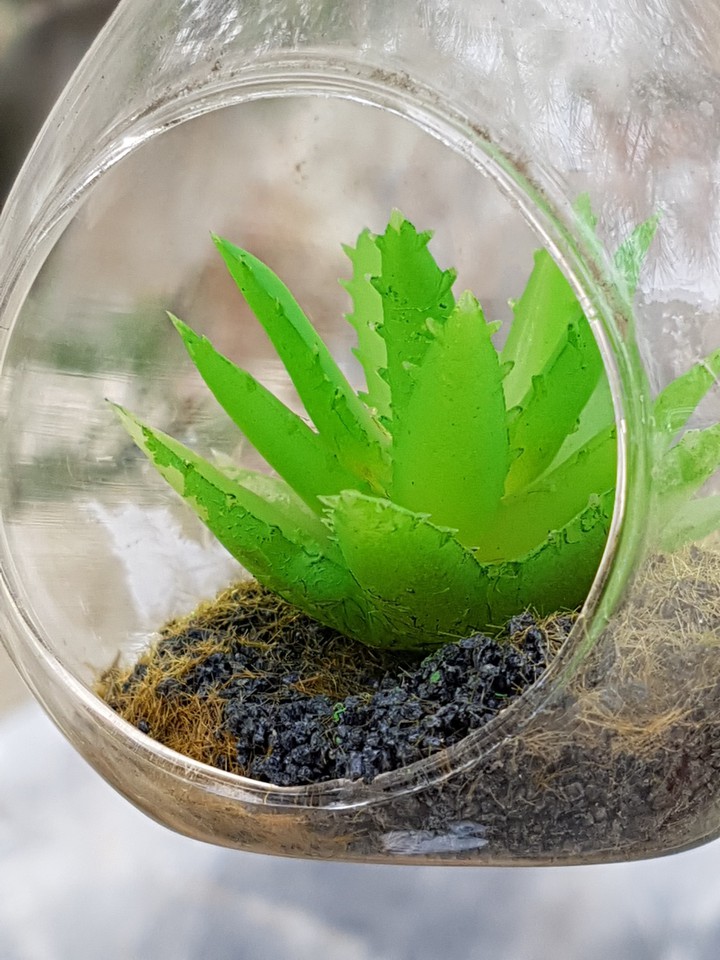 Growing in a Bubble