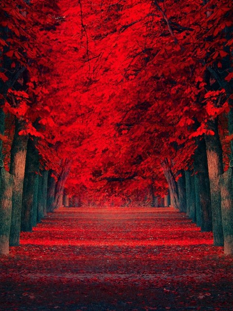 ❤ dear autumn ❤