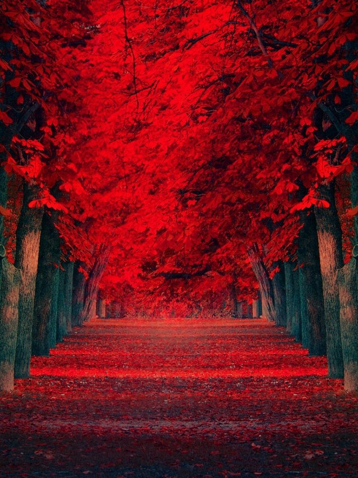 ❤ dear autumn ❤