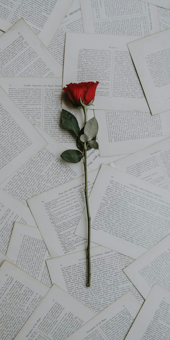 Red Red Rose...  ?