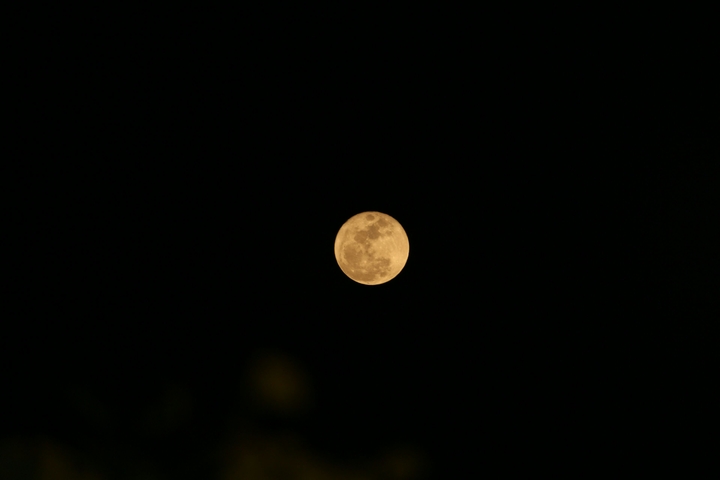 THE MOON
