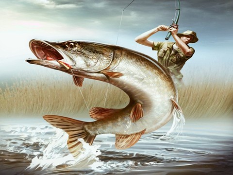 ταπετσαρίες lunge, Fishing