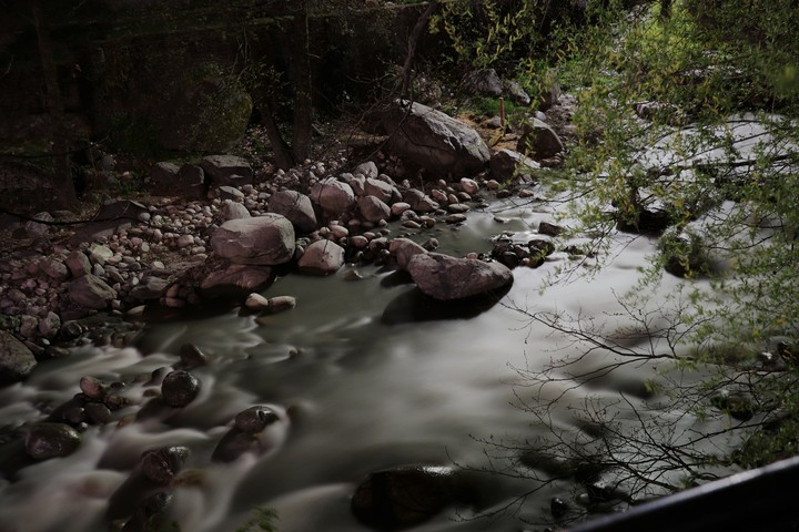Silky River Beas