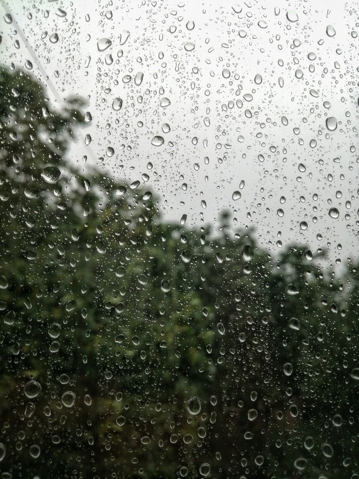 Rain