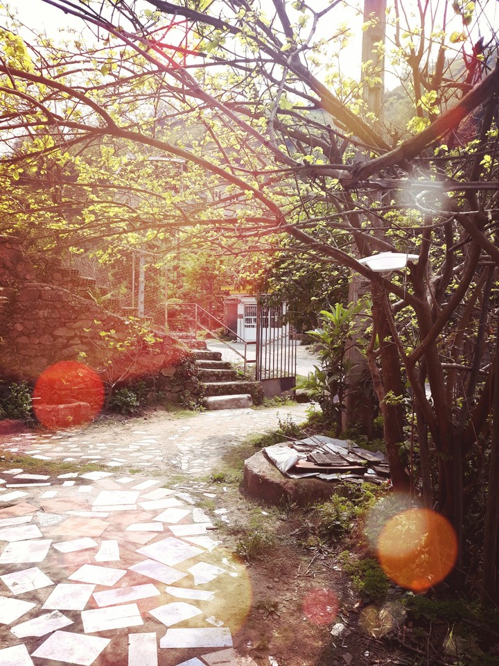 Springtime