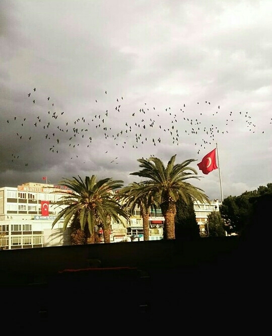 MEMLEKET