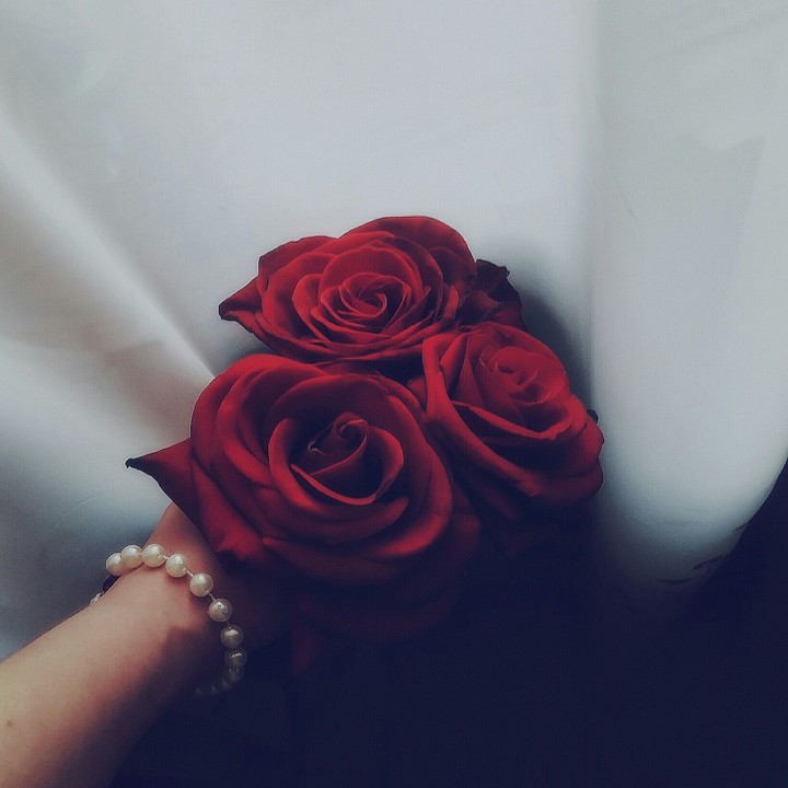 Red roses