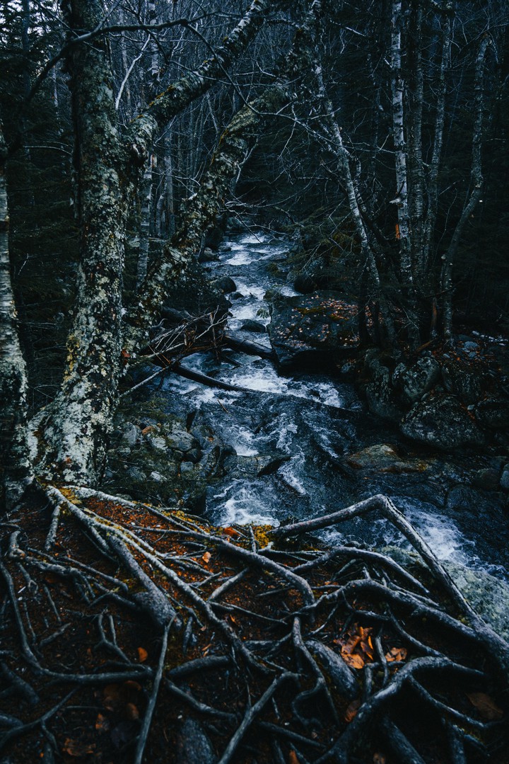 nature vibes !
