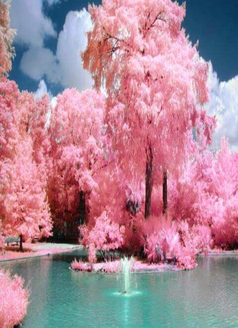 Watertree