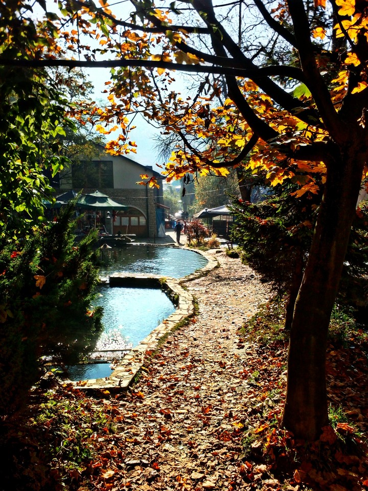 Autumn