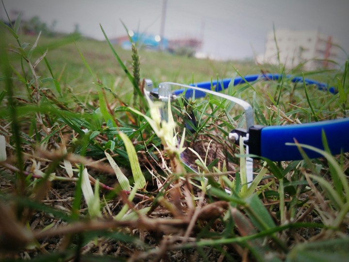 Glass On Grass
