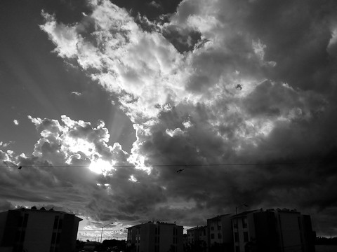 blanco y negro