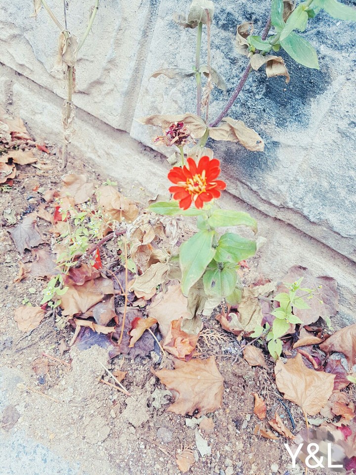 길 걷다가