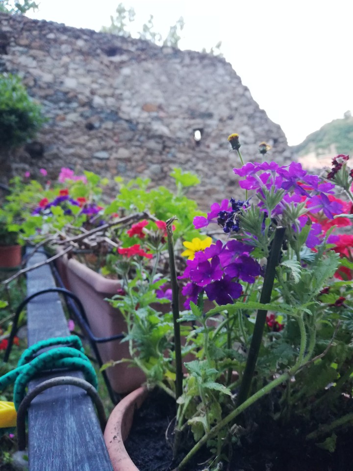 Ligurian balcony