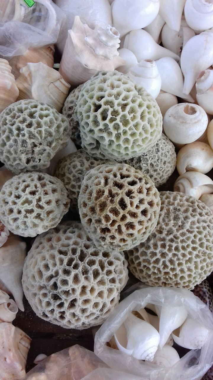 white stone