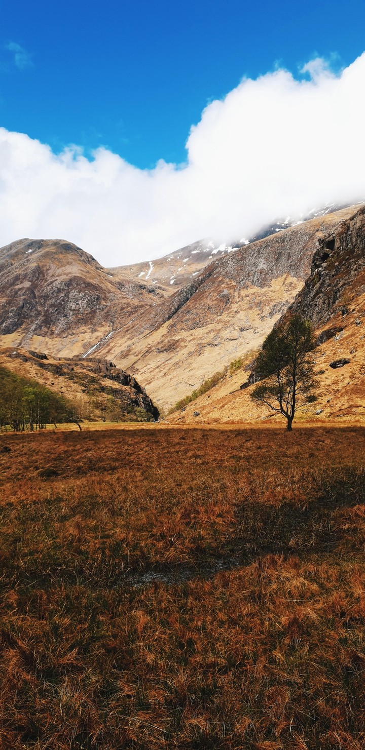Scotland