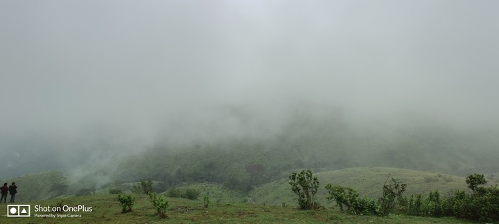 Misty Day