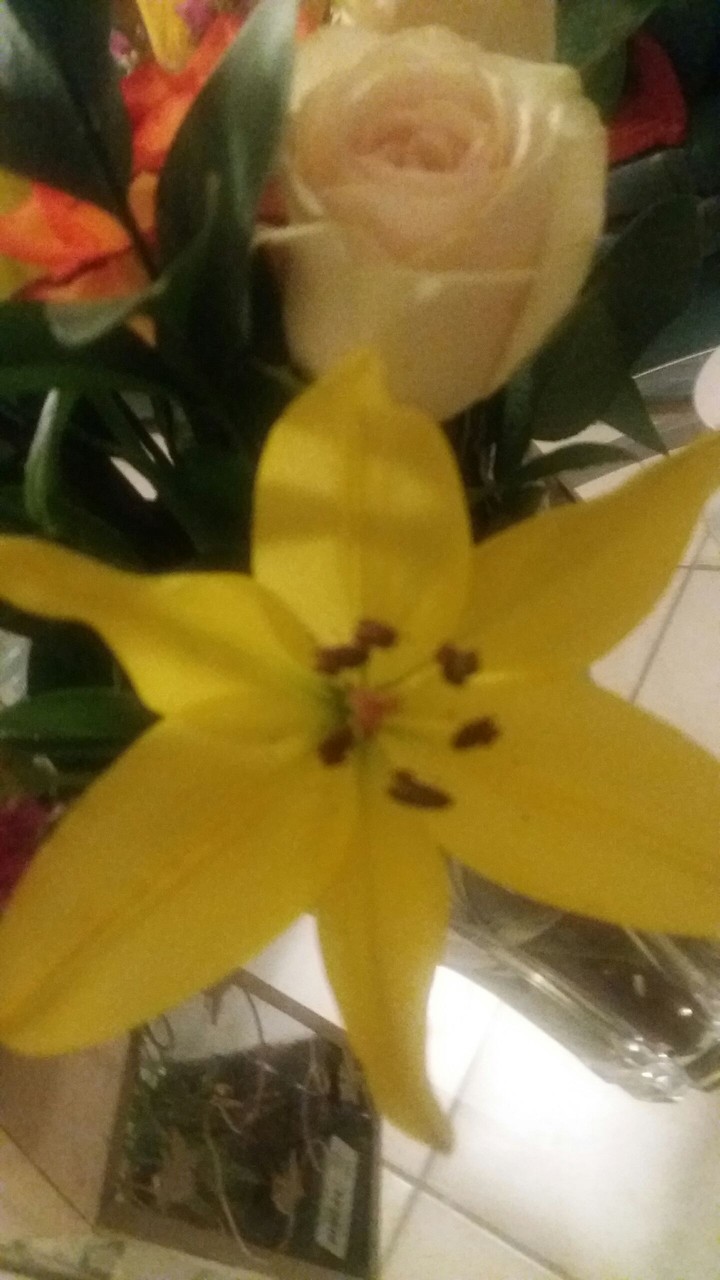 French Flowers