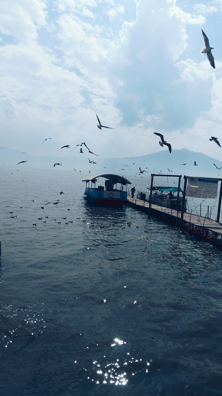 chapala 