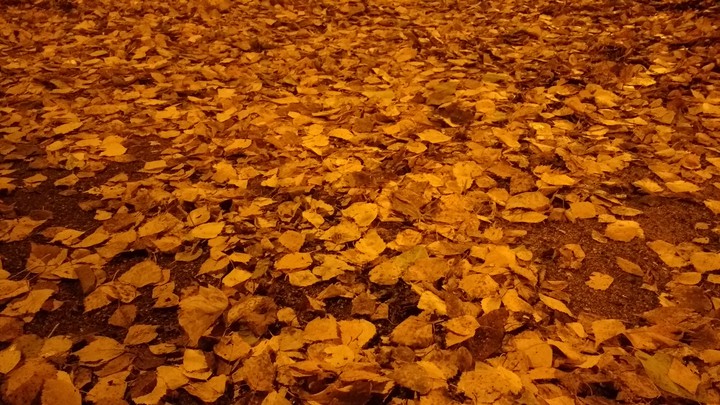 October
