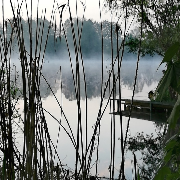Nebel auf dem See