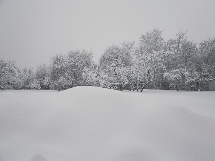 The Snow Kingdom