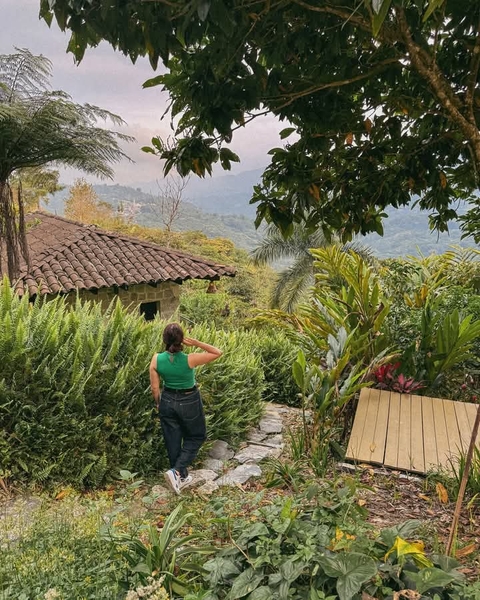 шпалери vacation, gardening