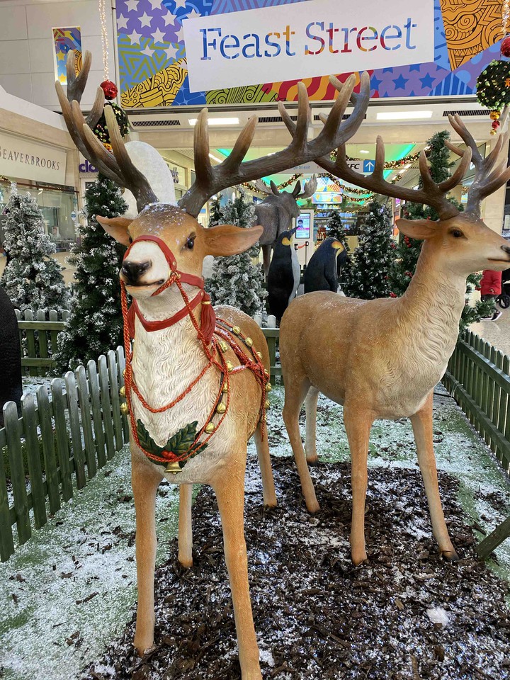 Rudolf,is that you ? : ))
