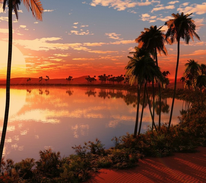 sunset