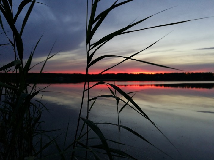 good night