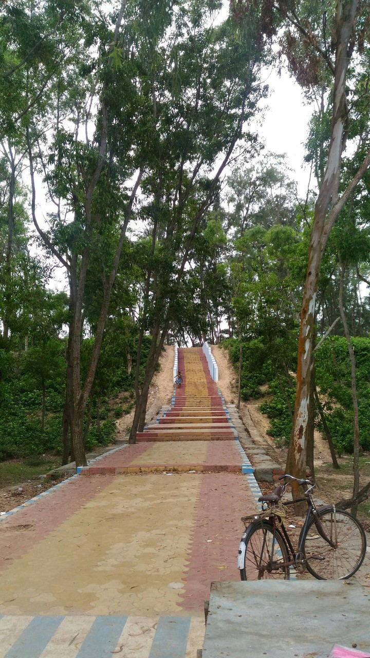 Way to Sea