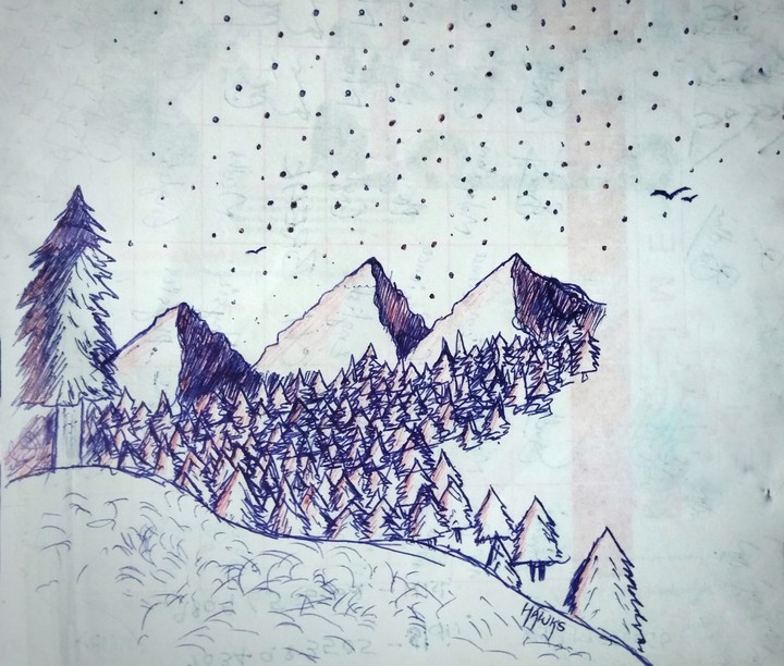 The Pine forest