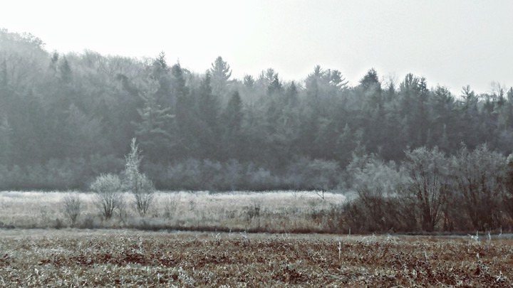 cold fog