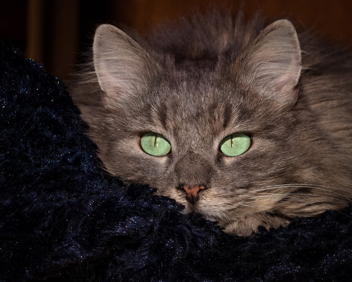 Beautiful Eyes
