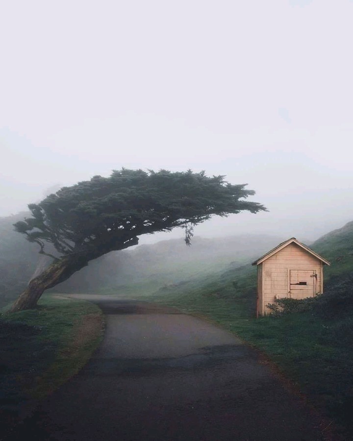 Nature is the best designer..??