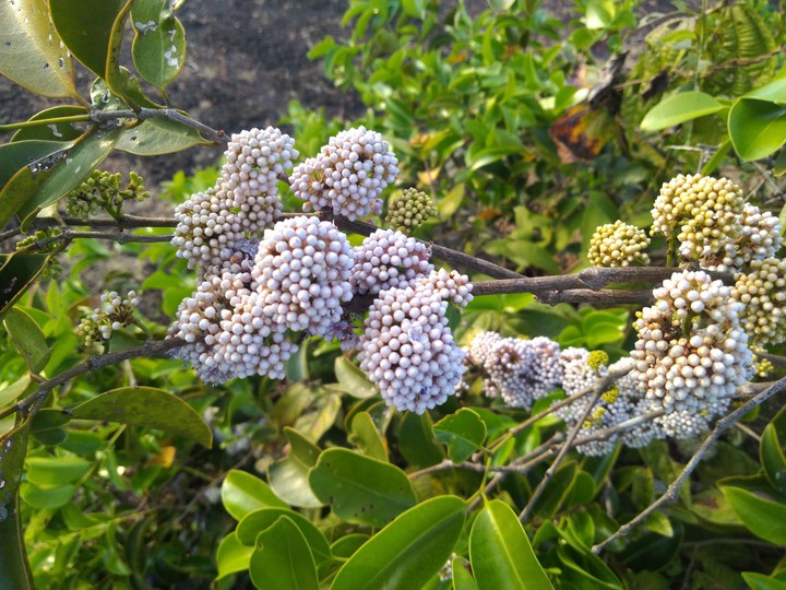 nature beauty ??#3