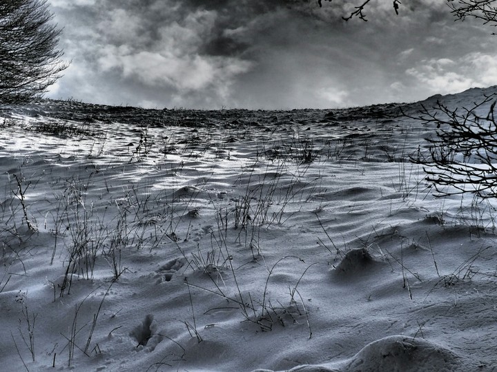 The dark side of the snow